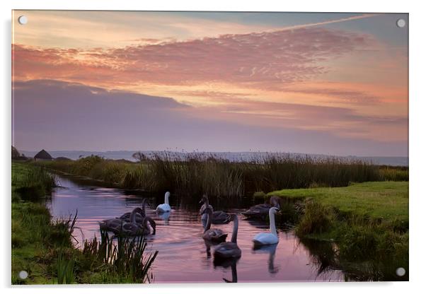  Braunron Marsh, North Devon. Acrylic by Dave Wilkinson North Devon Ph