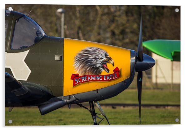  Eagle Flight Acrylic by Andrew Crossley
