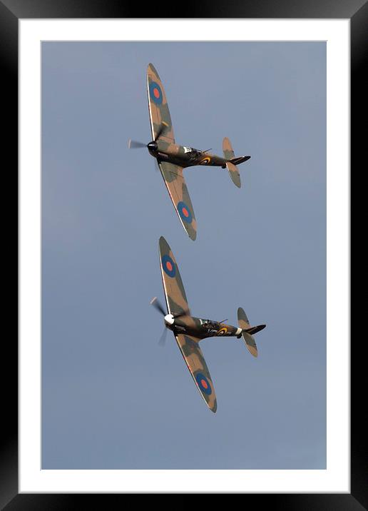 Spitfires Framed Mounted Print by J Biggadike