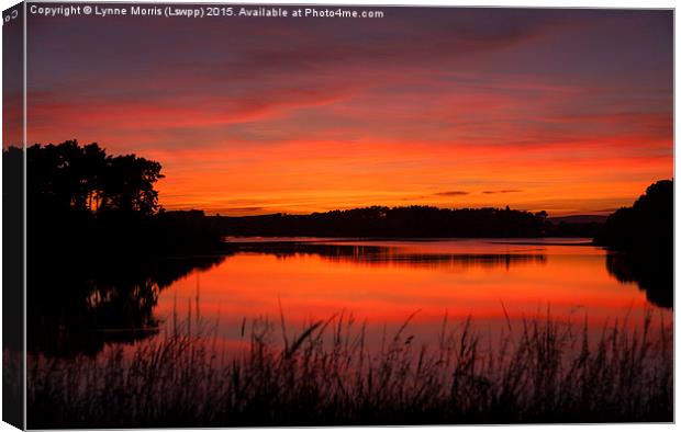  Red Sky At Night Canvas Print by Lynne Morris (Lswpp)