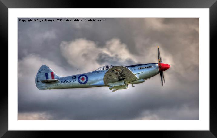  Supermarine Spitfire FR MkXVIIIe Framed Mounted Print by Nigel Bangert