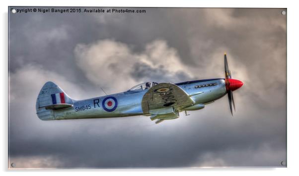  Supermarine Spitfire FR MkXVIIIe Acrylic by Nigel Bangert
