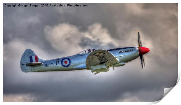  Supermarine Spitfire FR MkXVIIIe Print by Nigel Bangert