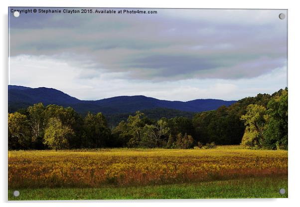 Smoky Mountain Bliss  Acrylic by Stephanie Clayton