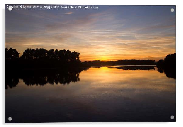  Early Sunset over Gladhouse Reservoir, Midlothian Acrylic by Lynne Morris (Lswpp)