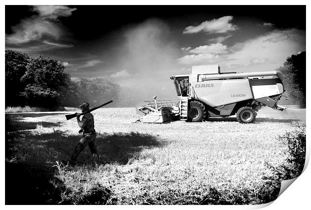  Harvest Shoot Print by Adrian Wilkins
