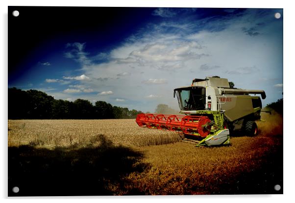  Essex Harvest Acrylic by Adrian Wilkins