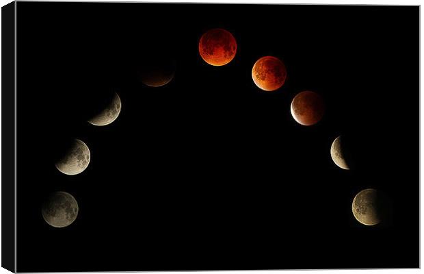  MOON ECLIPSE MONTAGE  Canvas Print by DAVID SAUNDERS