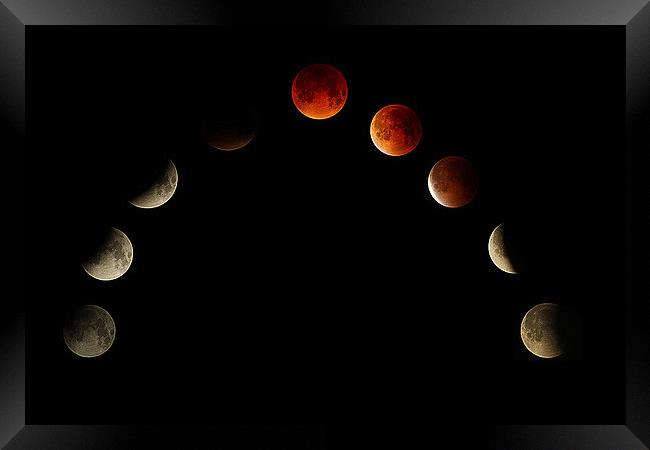  MOON ECLIPSE MONTAGE  Framed Print by DAVID SAUNDERS