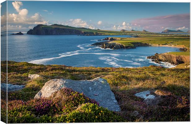  Evening over Dingle Peninsula Canvas Print by Brian Jannsen