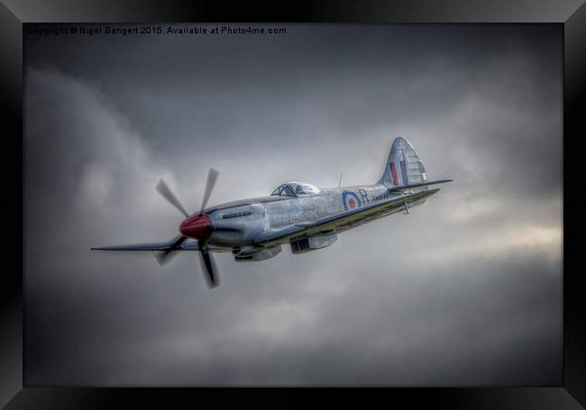  Supermarine Spitfire FR MkXVIIIe SM845 Framed Print by Nigel Bangert