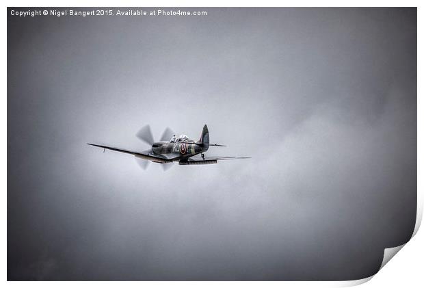  Supermarine Spitfire Mk IXT SM520 Print by Nigel Bangert