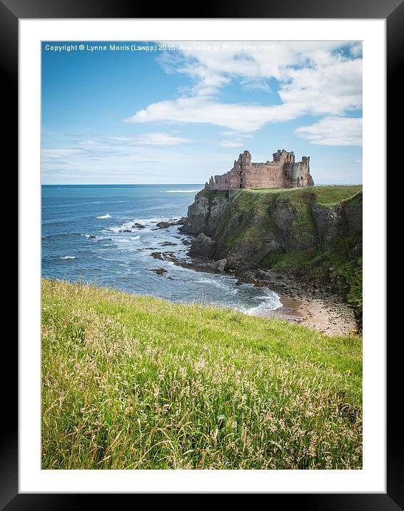 Tantallon Castle Framed Mounted Print by Lynne Morris (Lswpp)