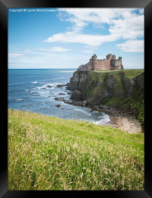  Tantallon Castle Framed Print by Lynne Morris (Lswpp)