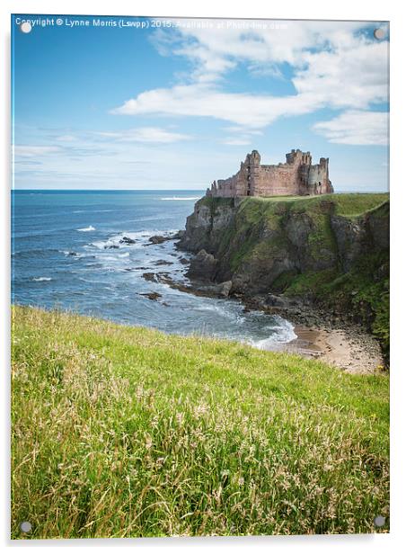  Tantallon Castle Acrylic by Lynne Morris (Lswpp)