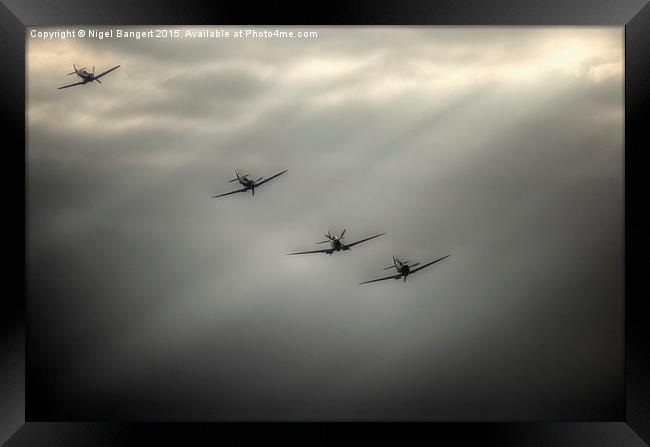  Spitfire Rays Framed Print by Nigel Bangert