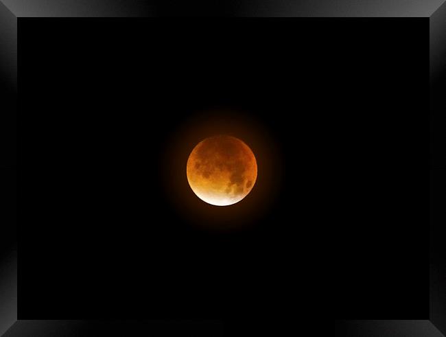 Blood Supermoon Framed Print by Ellie Rose