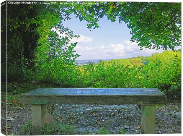 THE BENCH Canvas Print by Anthony Kellaway
