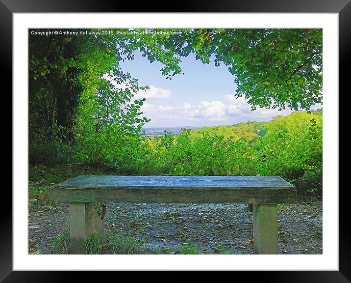 THE BENCH Framed Mounted Print by Anthony Kellaway