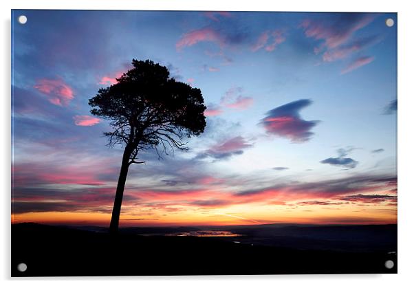  Beauly Firth Sunrise Acrylic by Macrae Images