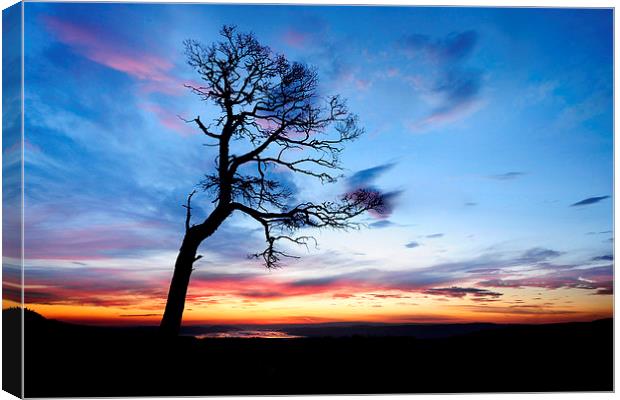  Beauly Firth Sunrise Canvas Print by Macrae Images