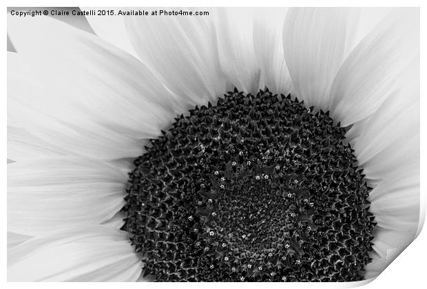  Sunflower Print by Claire Castelli
