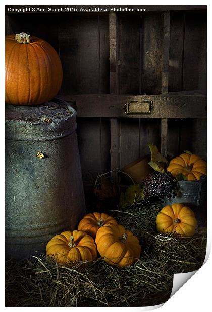 Pumpkins on Straw Print by Ann Garrett