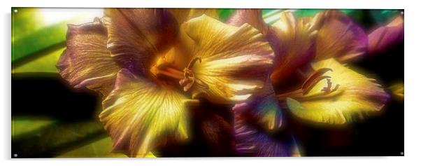 Gladiolus laying on a draining broad   Acrylic by Sue Bottomley