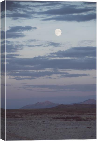  Desert Moon Canvas Print by Brent Olson