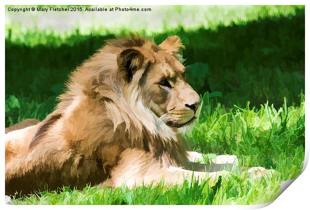  Lazy Lion Print by Mary Fletcher