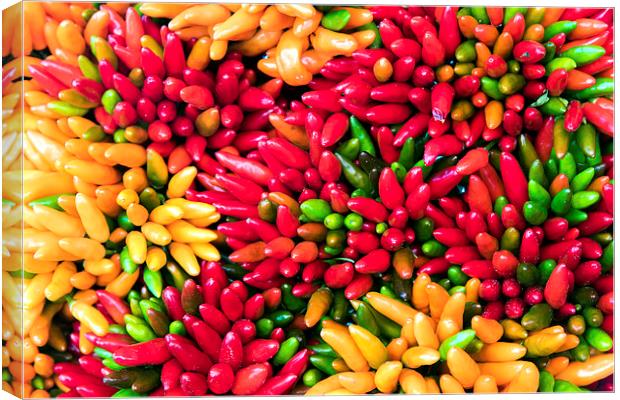 Bunch of chilli peppers Canvas Print by Dave Carroll