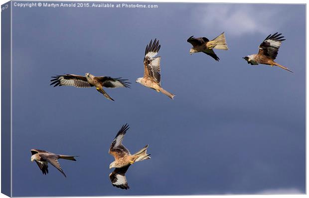  A Sky Full of Red Kites Canvas Print by Martyn Arnold