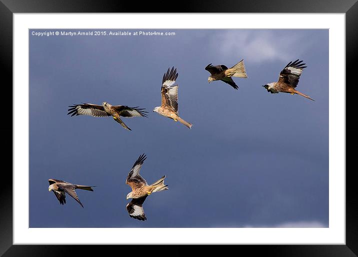  A Sky Full of Red Kites Framed Mounted Print by Martyn Arnold