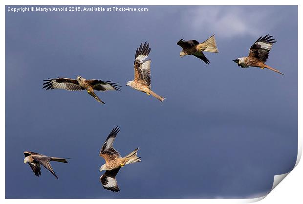  A Sky Full of Red Kites Print by Martyn Arnold