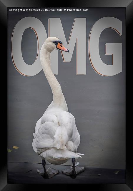  Shocked Swan Framed Print by mark sykes