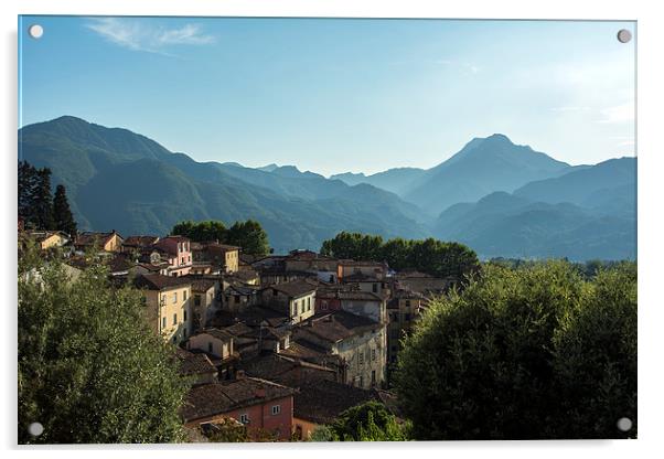  Roof tops of Barga, Tuscany Acrylic by Dan Ward