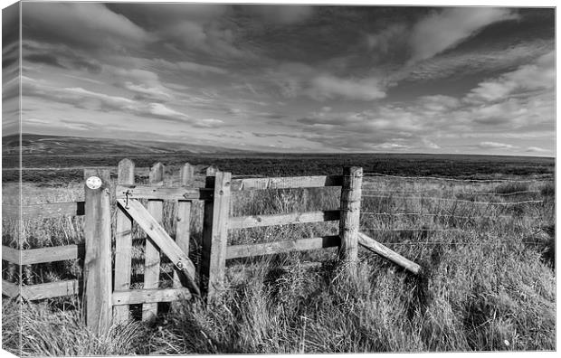 Peak District moors near the Cat and Fiddle Canvas Print by Chris Warham