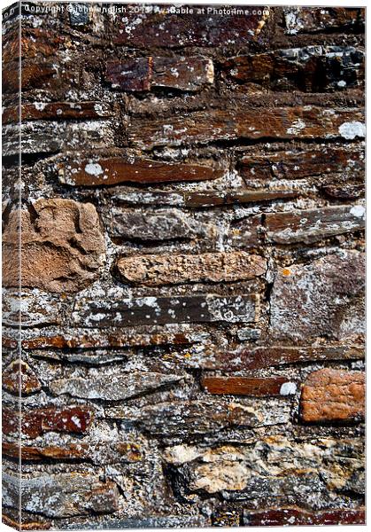 The old wall Canvas Print by john english