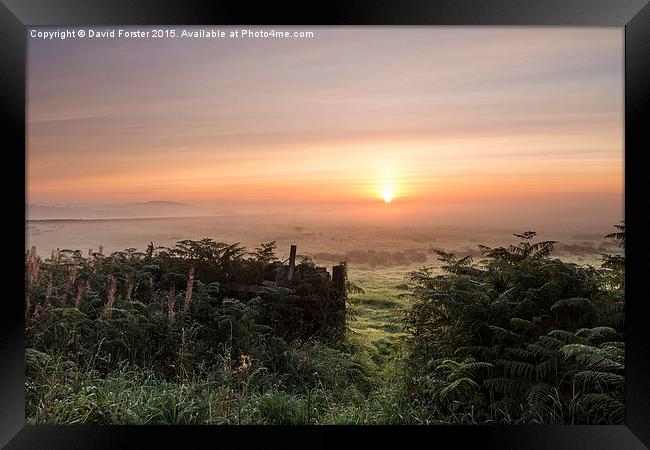 Misty Moorland Sunrise Teesdale County Durham  Framed Print by David Forster