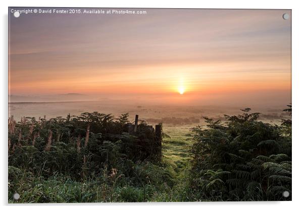 Misty Moorland Sunrise Teesdale County Durham  Acrylic by David Forster