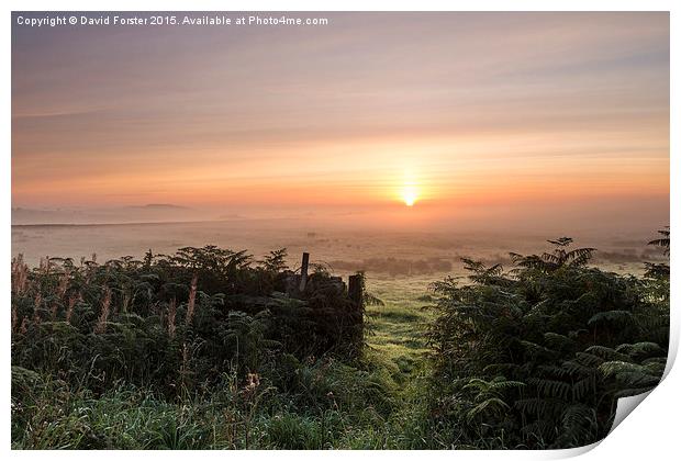 Misty Moorland Sunrise Teesdale County Durham  Print by David Forster