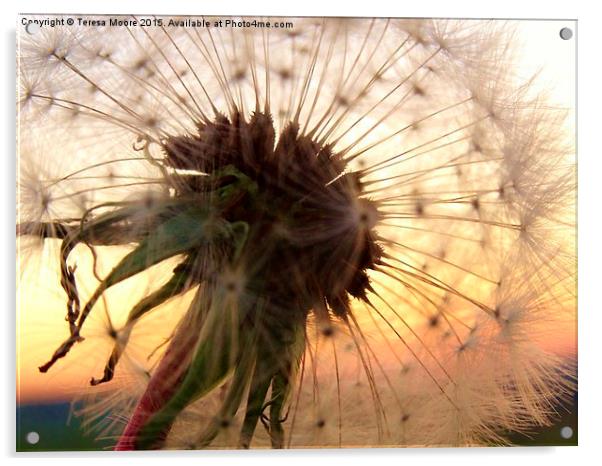  Sunset hues with a Dandelion Acrylic by Teresa Moore