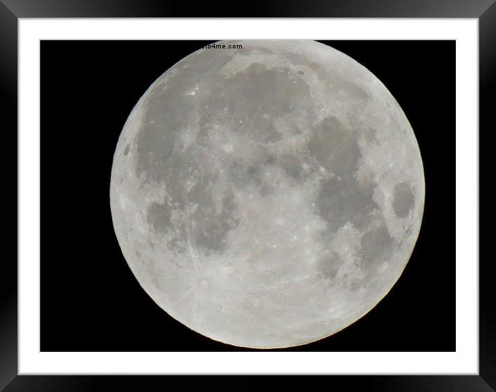 Supermoon Framed Mounted Print by Teresa Moore