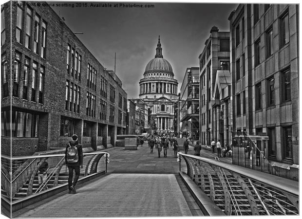  St pauls cathedral  Canvas Print by sylvia scotting
