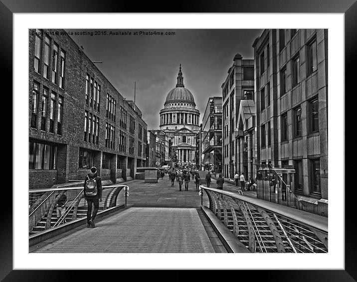  St pauls cathedral  Framed Mounted Print by sylvia scotting