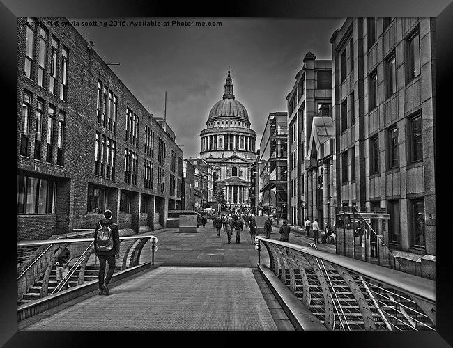  St pauls cathedral  Framed Print by sylvia scotting