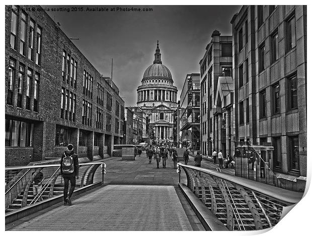  St pauls cathedral  Print by sylvia scotting