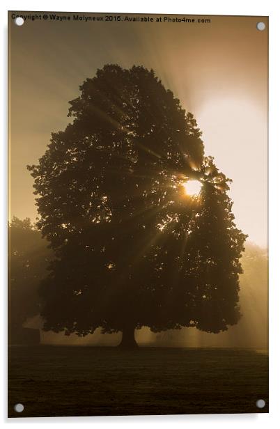  Early mist & Sunburst Acrylic by Wayne Molyneux