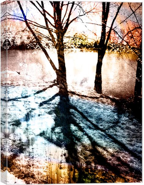  Through The Trees Canvas Print by Florin Birjoveanu