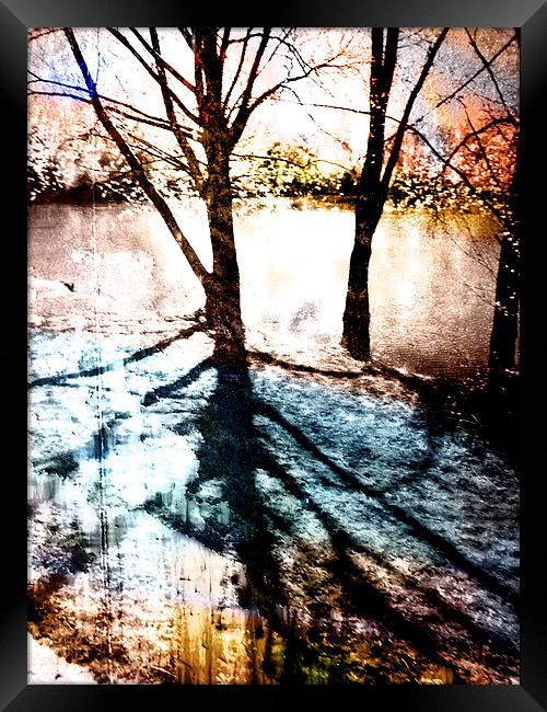  Through The Trees Framed Print by Florin Birjoveanu